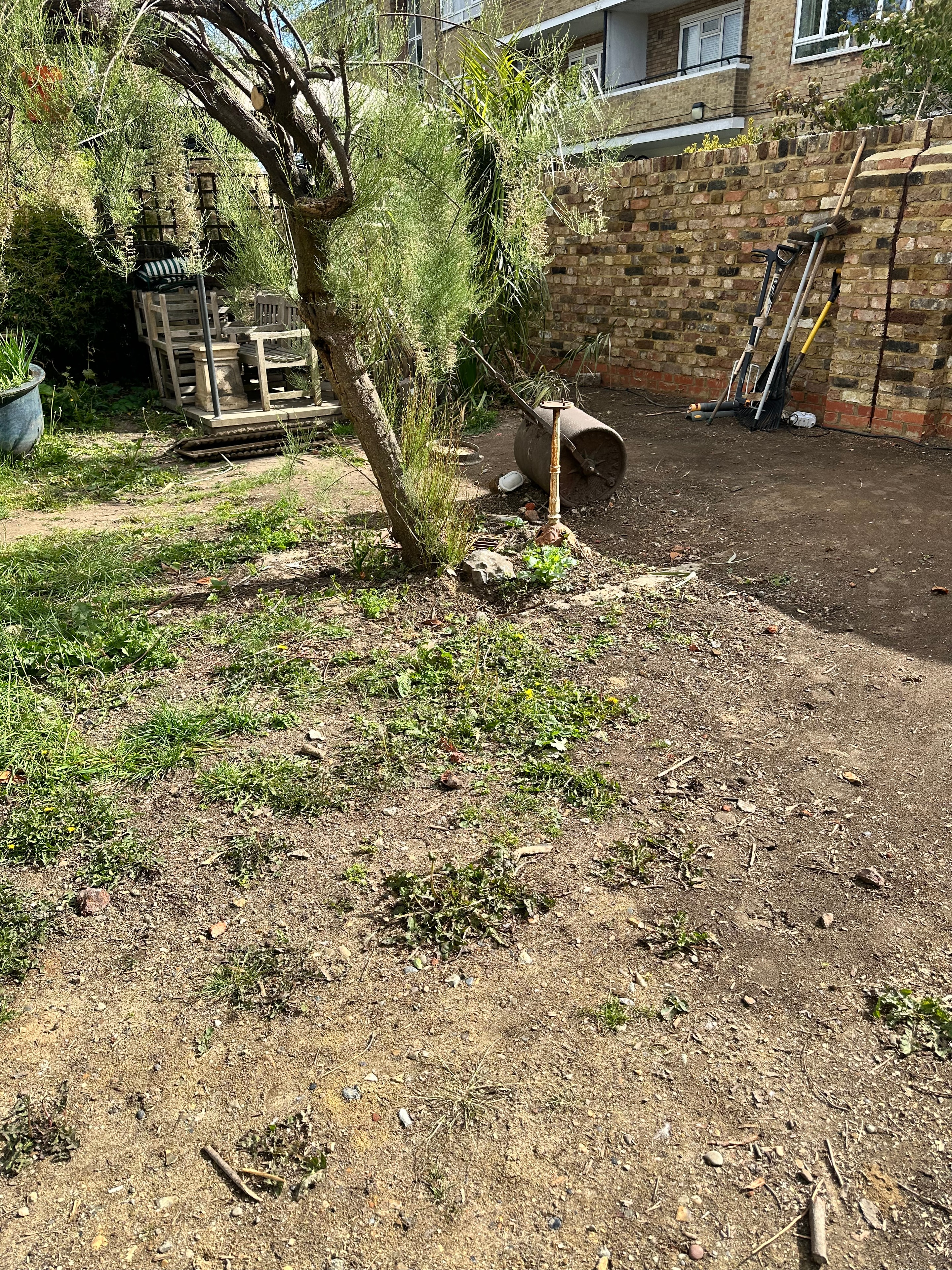 Garden before transformation — Hackney, East London
